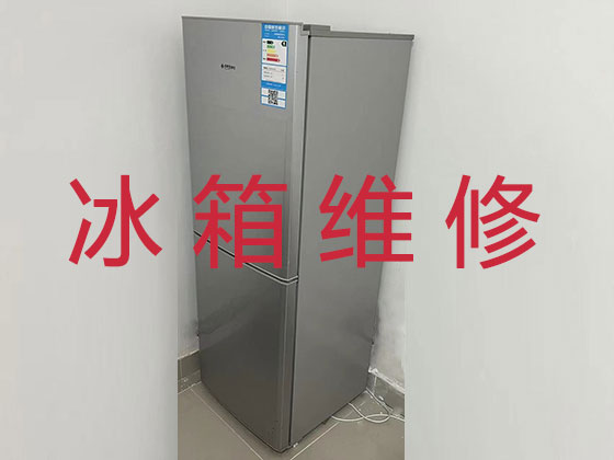 南宁专业电冰箱安装