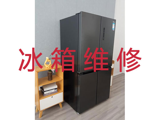 东方专业电冰箱安装