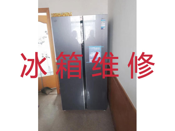 广州维修冰箱