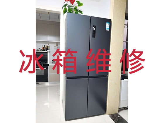 黔东南专业冰箱安装
