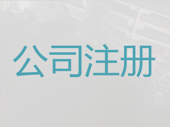 厦门正规注册公司代办,代办注册游戏公司,代办工商年检