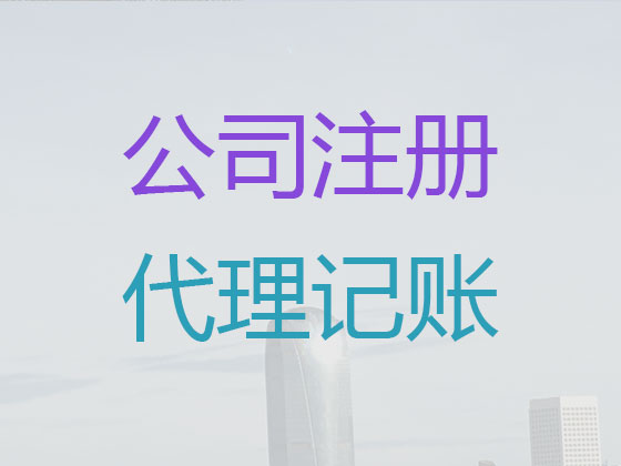 湖州代理记账报税-财税代理服务